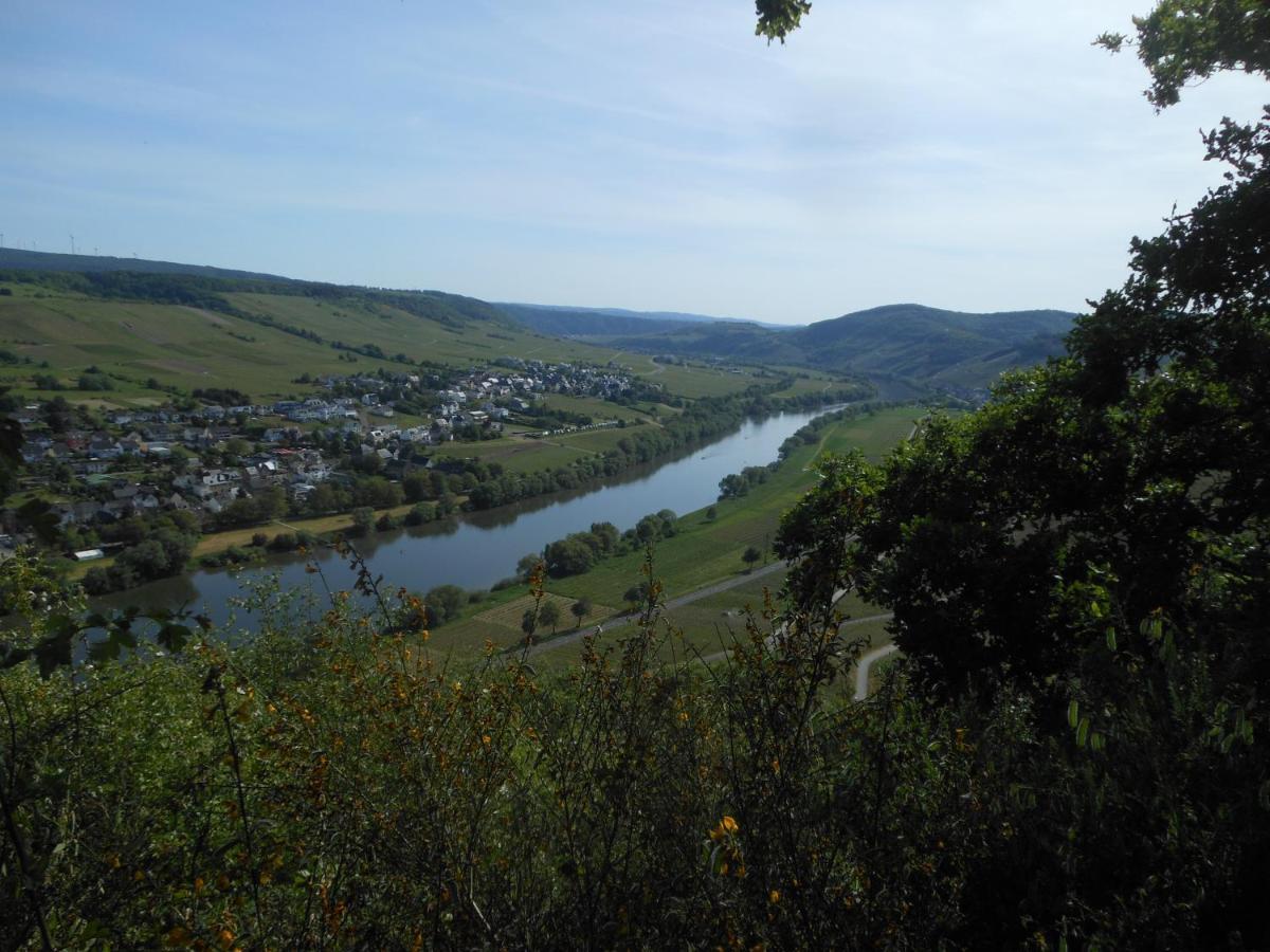 Ferienhaus Mosel Villa Brauneberg Eksteriør billede