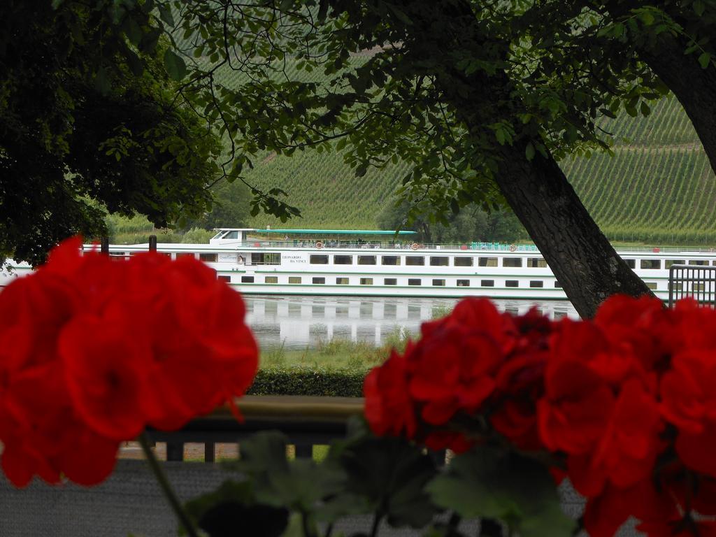 Ferienhaus Mosel Villa Brauneberg Eksteriør billede